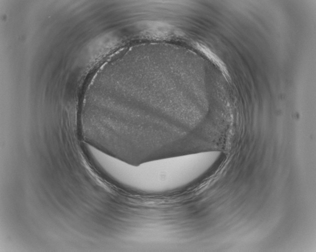 X0000087680493200706011658