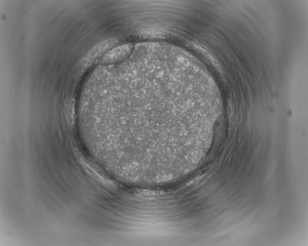 X0000087680494200706011658