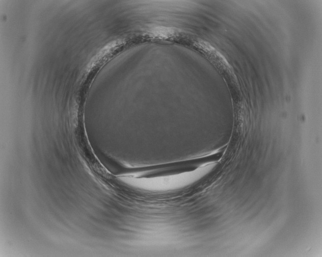 X0000087680496200706011658