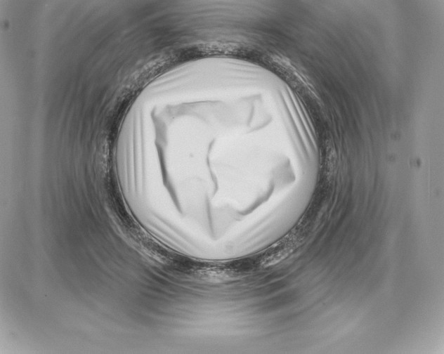 X0000087680498200706011658