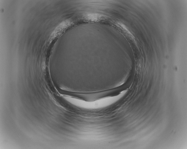 X0000087680500200706011658