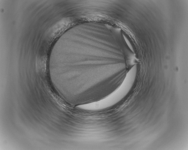 X0000087680501200706011658