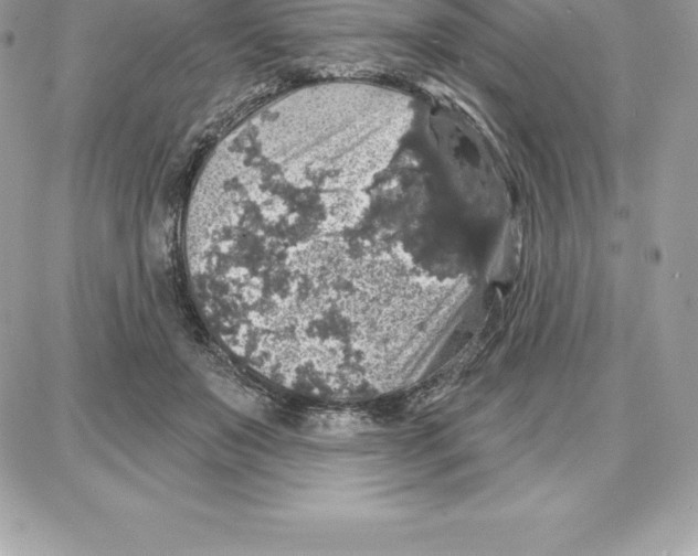 X0000087680503200706011657