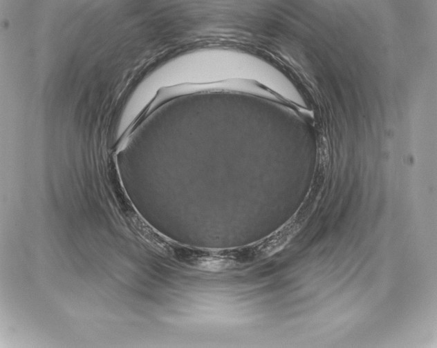 X0000087680504200706011657