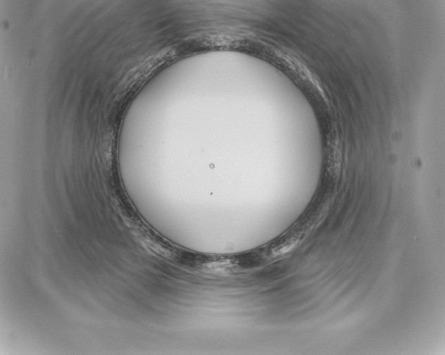 X0000087680505200706011657