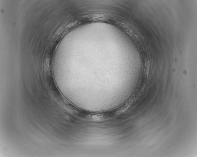 X0000087680506200706011657