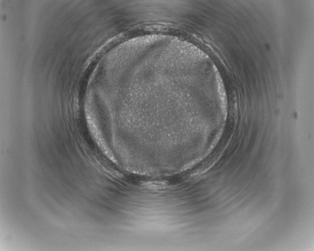 X0000087680508200706011657