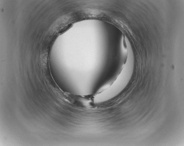 X0000087680509200706011657