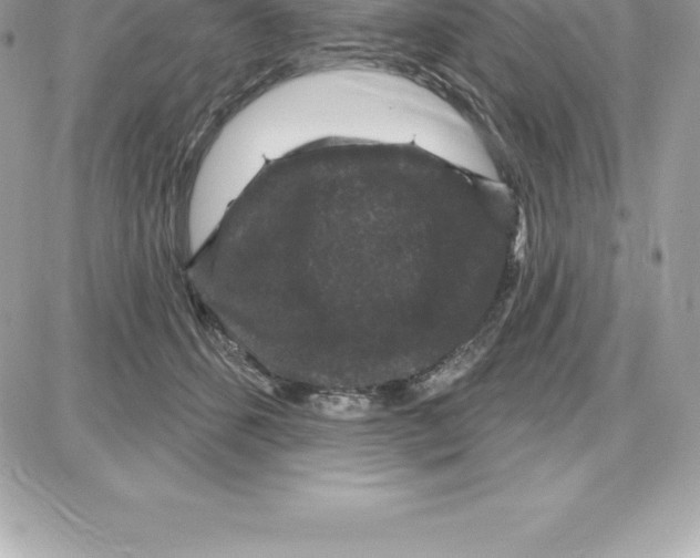 X0000087680512200706011657