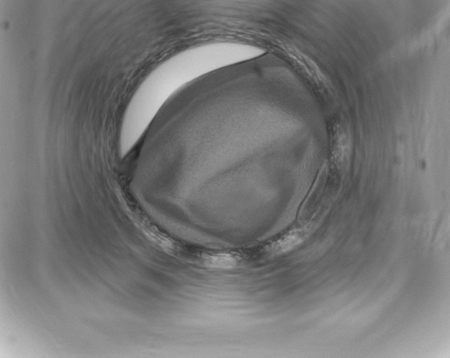 X0000087680513200706011657