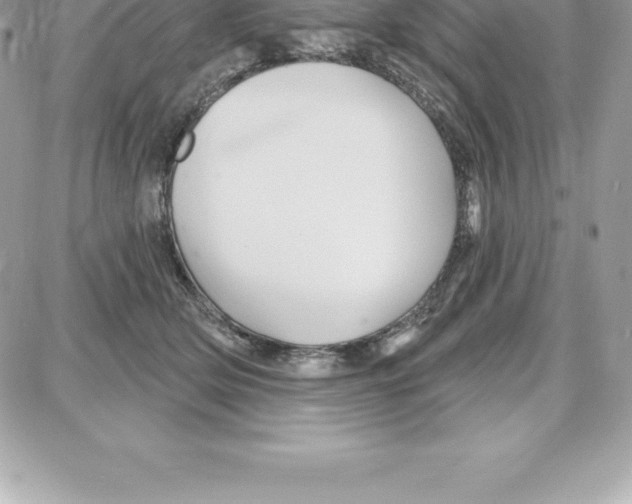 X0000087680514200706011657