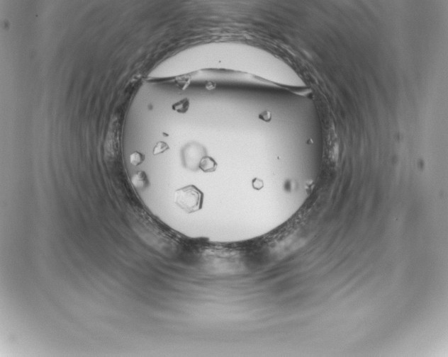 X0000087680515200706011657