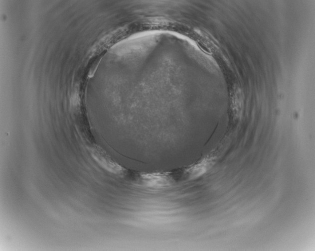 X0000087680516200706011657