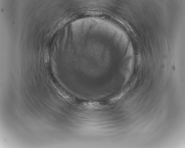 X0000087680517200706011657