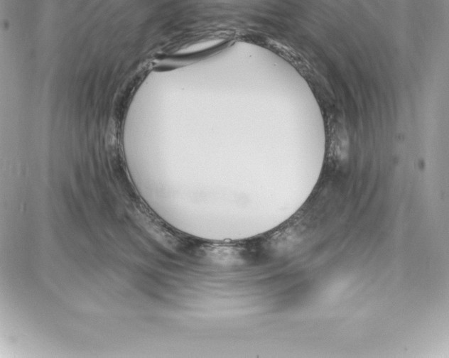 X0000087680518200706011657