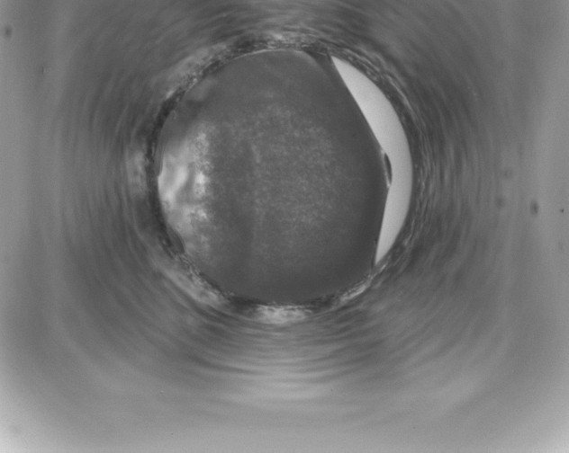 X0000087680520200706011657