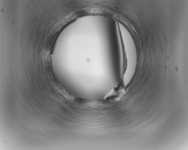 X0000087680521200706011657