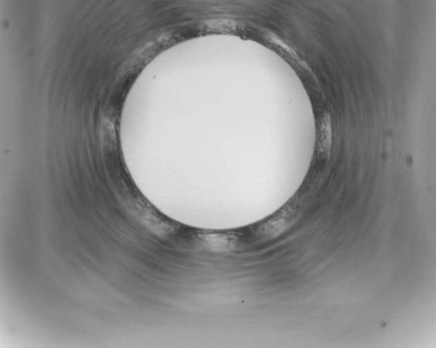 X0000087680522200706011657