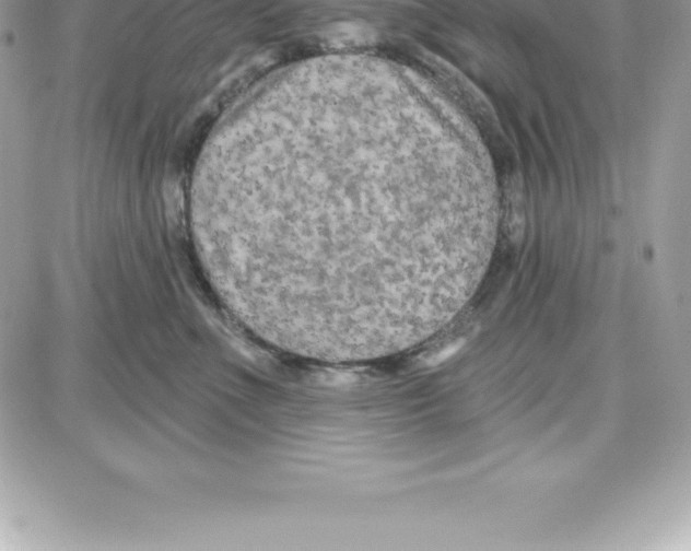 X0000087680523200706011657