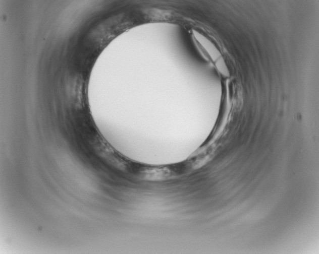 X0000087680525200706011657