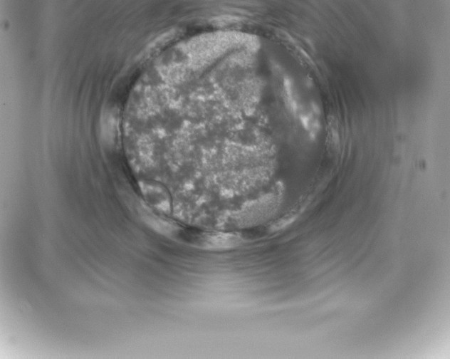 X0000087680527200706011657