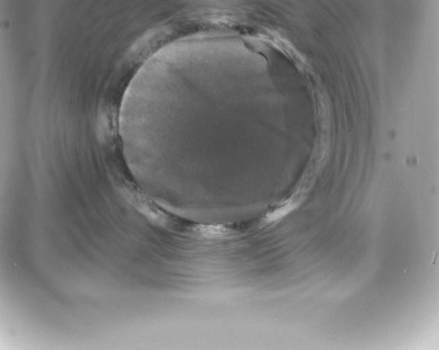 X0000087680528200706011657