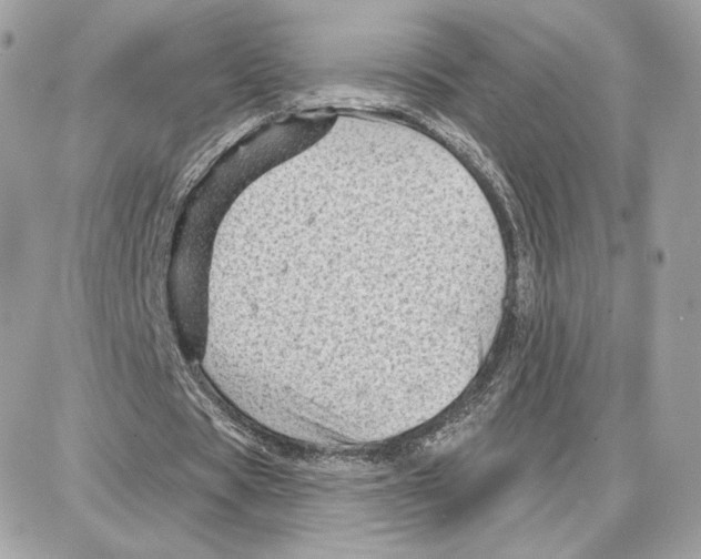 X0000087680529200706011656