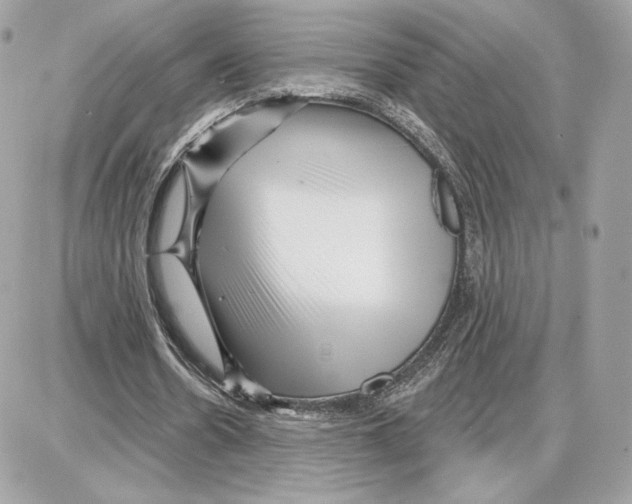 X0000087680530200706011656