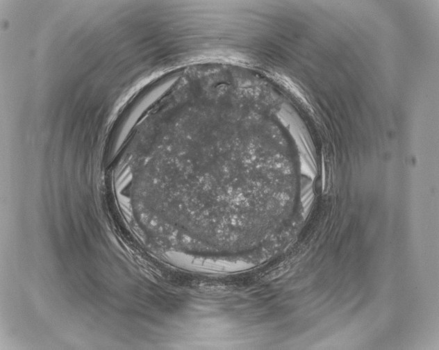 X0000087680531200706011656