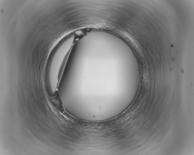 X0000087680532200706011656