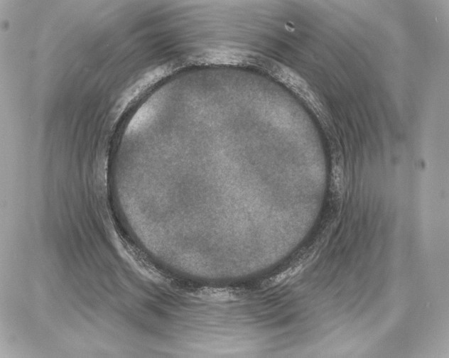 X0000087680534200706011656