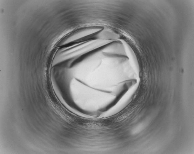 X0000087680535200706011656