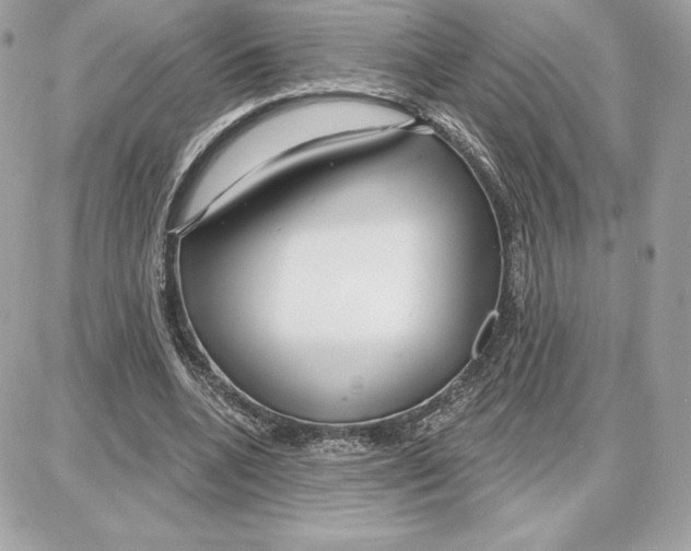 X0000087680536200706011656