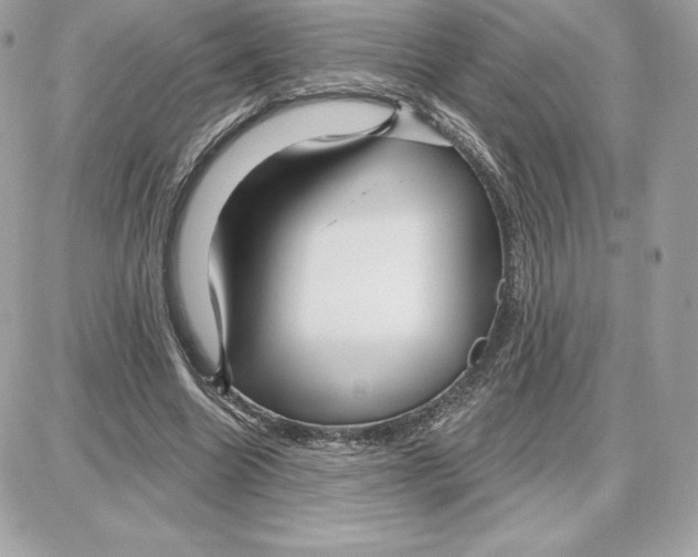 X0000087680538200706011656