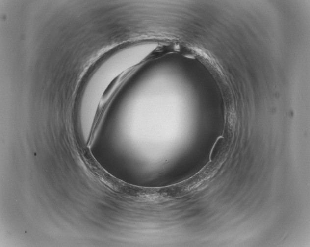 X0000087680540200706011656