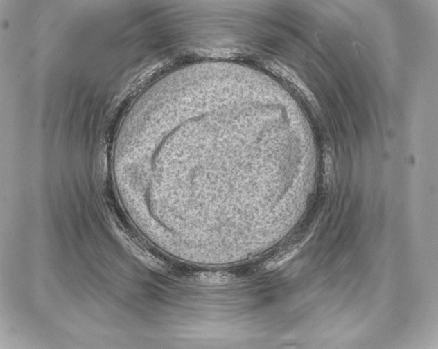 X0000087680541200706011656