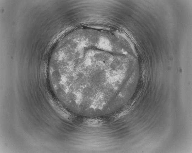 X0000087680542200706011657