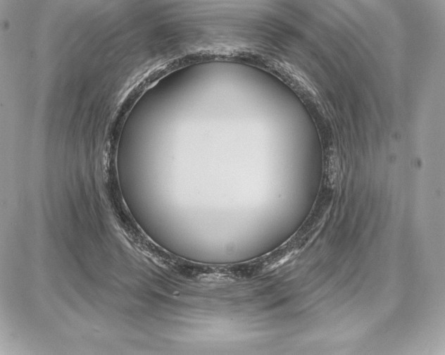 X0000087680544200706011657