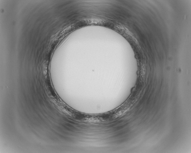 X0000087680545200706011657