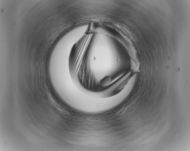 X0000087680546200706011657