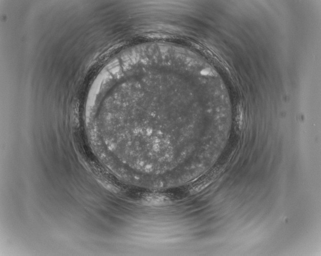 X0000087680547200706011657