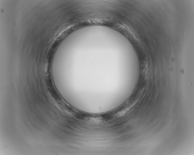 X0000087680548200706011657