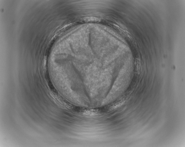 X0000087680550200706011657