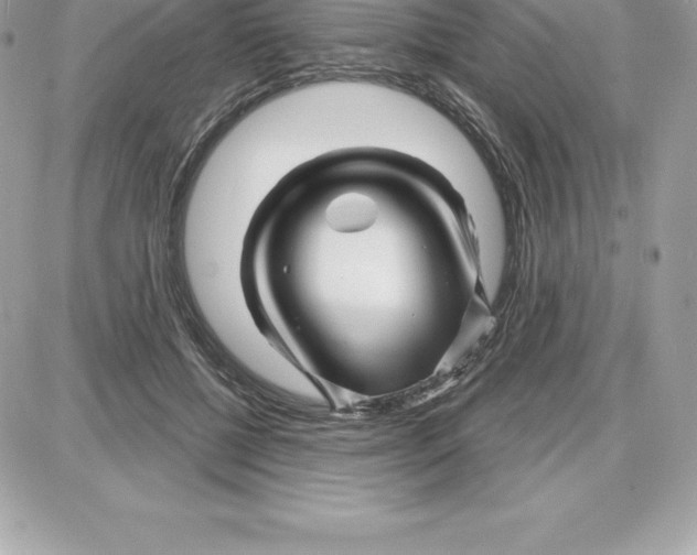 X0000087680552200706011657