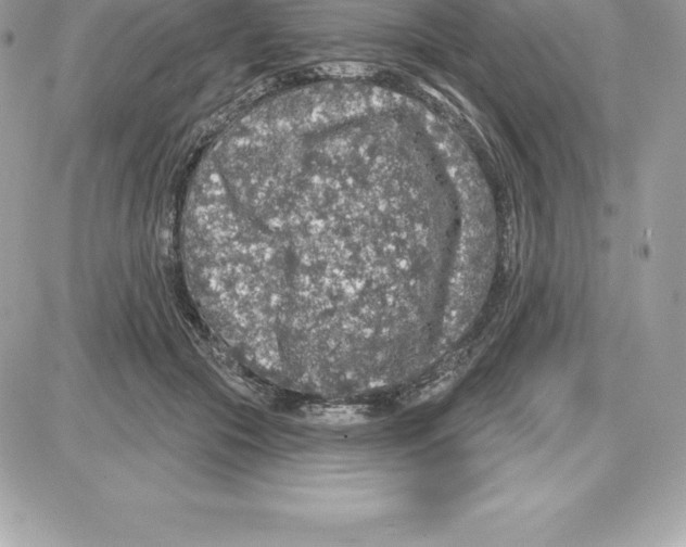 X0000087680553200706011657