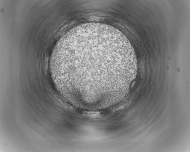 X0000087680554200706011657