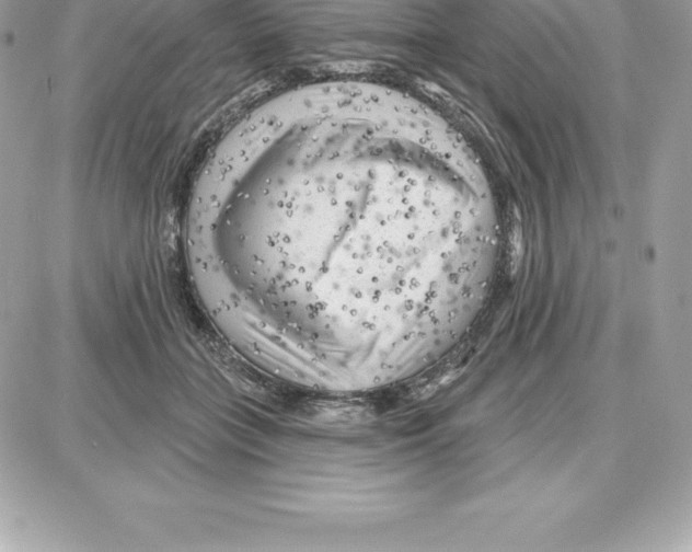 X0000087680555200706011657