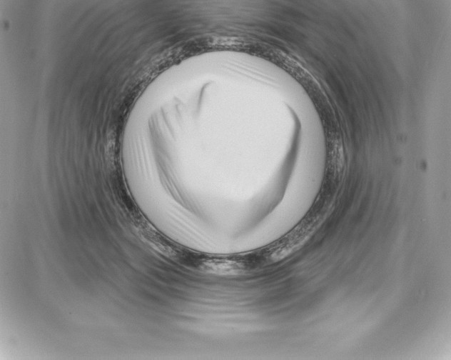 X0000087680557200706011657