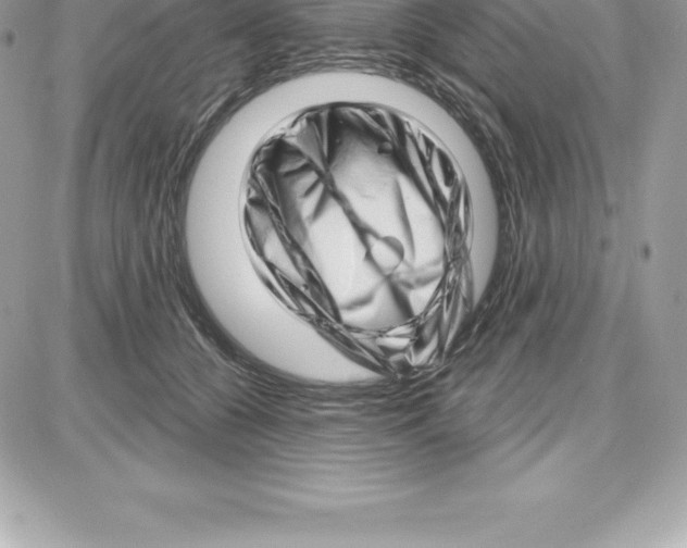 X0000087680560200706011657