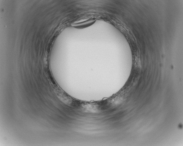 X0000087680561200706011657